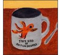 Big Fish Ensemble - State Bird of Big Fish Ensembl