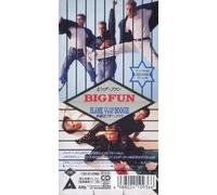 Big Fun - Blame It On The Boogie