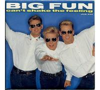 BIG FUN - Can't Shake The Feeling 7 Inch (7" Vinyl 45) UK Jive 1989