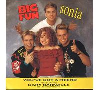 Big Fun Feat Sonia - Big Fun Feat Sonia - Youve Got A Friend - [7"]
