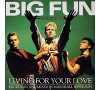 Big Fun - Living For Your Love [Vinyl Single]