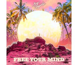 Big Gigantic - Free Your Mind