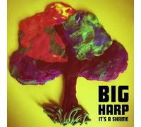Big Harp - It's a Shame [Vinilo]
