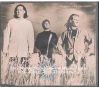 BIG HEAD TODD AND THE MONSTERS - IN THE MORNING CD EUROPEAN GIANT 1994