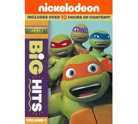 Big Hits: Tales Of Teenage [DVD]