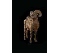 Big Horn Ram with a Little Hermit Thrush