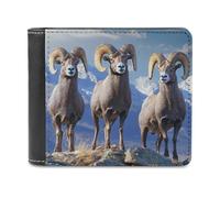 Big Horn Sheep Wildlife - Cartera plegable para hombre, diseño de oveja