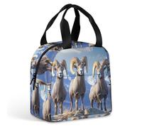 Big Horn Sheep Wildlife - Lonchera aislada a prueba de fugas para el trabajo, viajes al aire libre