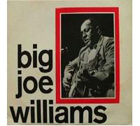 Big Joe Williams