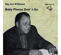 Big Joe Williams - Baby, Please Don't Go