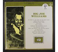 Big Joe Williams - Big Joe Williams [VINYL]