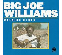 Big Joe Williams - BIG JOE WILLIAMS/_WALKING BLUES