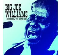 Big Joe Williams - Blues from the South Side