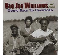 Big Joe Williams - Going Back And Friends