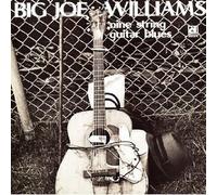 Big Joe Williams - Guitar Blues : Vinyl LP ;