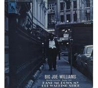 Big Joe Williams - Hand Me Down My Old Walking Stick - VG
