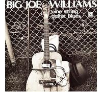Big Joe Williams - Nine String Guitar Blues