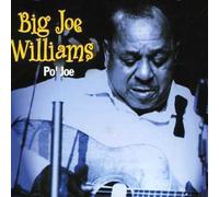 Big Joe Williams - Po Joe