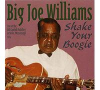 Big Joe Williams - Shake Your Boogie