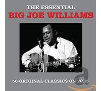 Big Joe Williams - The Essential 2cd