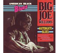 Big Joe Williams - Watergate blues