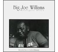 Big Joe Williams - Watergate Blues Live