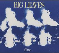 Big Leaves - Fine