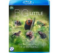 Big Little Journeys [Blu-ray]