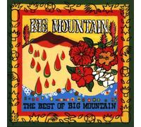 Big Mountain - Best of [Import]