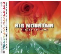 Big Mountain - New Album