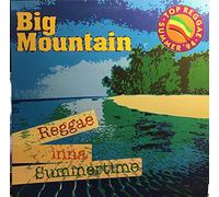 Big Mountain - Reggae Inna Summertime [Vinilo]