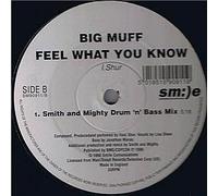 Big Muff / Feel What You Know