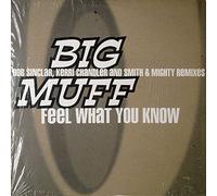 Big Muff - Feel What You Know Remix [12 inch]