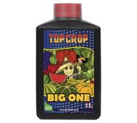 Big One 1 L - Estimulador de floración natural
