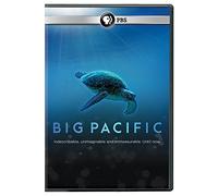 Big Pacific [USA] [DVD]
