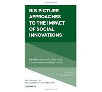 Big Picture Approaches to the Impact of Social Innovations: 96 (Research in the Sociology of Organizations)