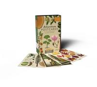 Big Picture Press Welcome to The Museum: Arboretum Postcard Box: by Illustrator Katie Scott