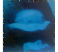 Big Sleep - Everything Falls Into [Vinyl Album]