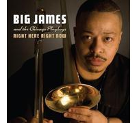 Big Sound Works James And The Chicago Playboys - Right Here Right Now