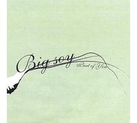 Big Soy - Part of You