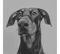 BIG SPECIAL - POSTINDUSTRIAL HOMETOWN BLUES