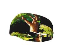 Big Tree - Diadema elástica unisex para yoga y baloncesto, absorbe el sudor