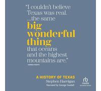 Big Wonderful Thing: Una historia de Texas