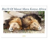 Big10 Of Masai Mara Kenya Africa (Wall Calendar 2026 DIN A3 landscape), CALVENDO 12 Month Wall Calendar: The top 10 animals of Masai Mara Kenya Africa