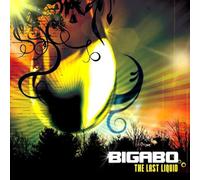 Bigabo - The Last Liquid