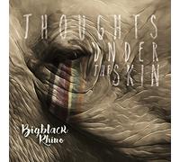 Bigblack Rhino - Thoughts Under The Skin Cd