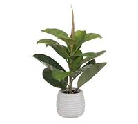 BigBuy Home Planta Decorativa Verde PVC Roble 58 cm