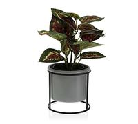 BigBuy Home S3407873 Productos para el hogar, Plástico, Multicolour
