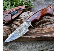BIGCAT ROAR 25.4 cm Cuchillo de caza de Damasco hecho a mano con funda de cuero - Ideal para desollar, acampar - EDC Cuchillo de hoja fija con mango de madera de nogal - Predator Hunter