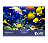 Bigeye Peces 1000 Piezas Impresionante Puzzle A Partir De 14 Años Inteligencia Juguete Entretenimiento Creativo Desafíos Extra Divertidos EduGatoivo 70x50cm/1000pcs